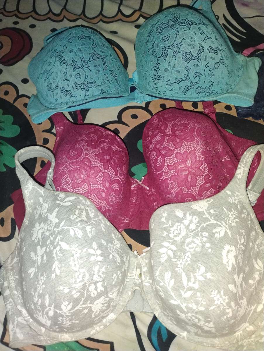 Lanebryant Torrid bras