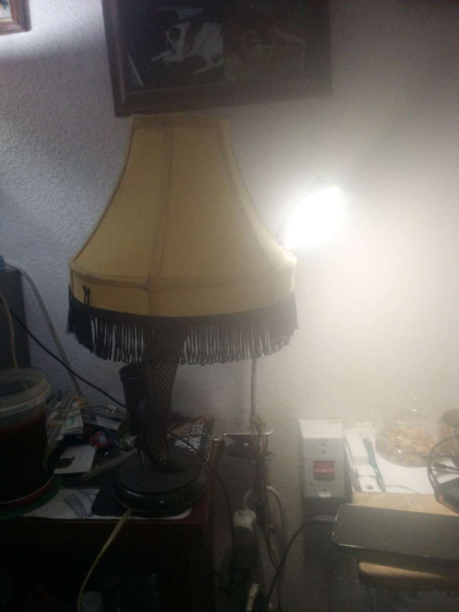 used leg lamp