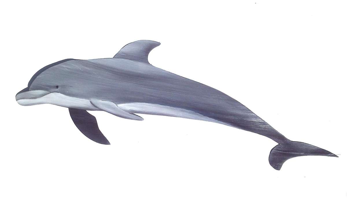 Dolphin hand painted from palm tree frond