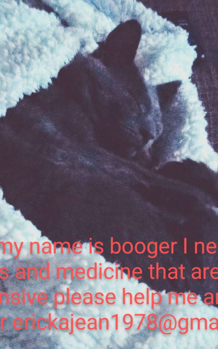 donations for booger