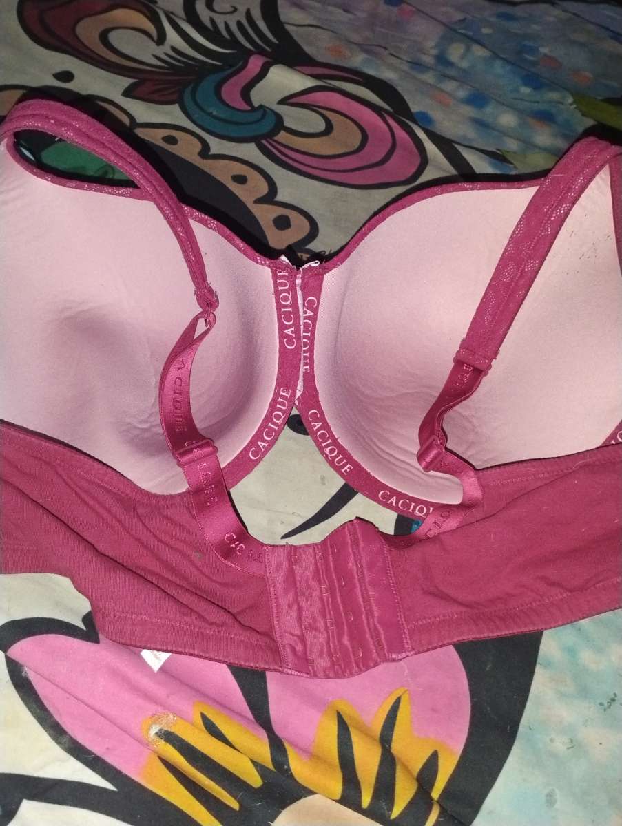 Lanebryant Torrid bras