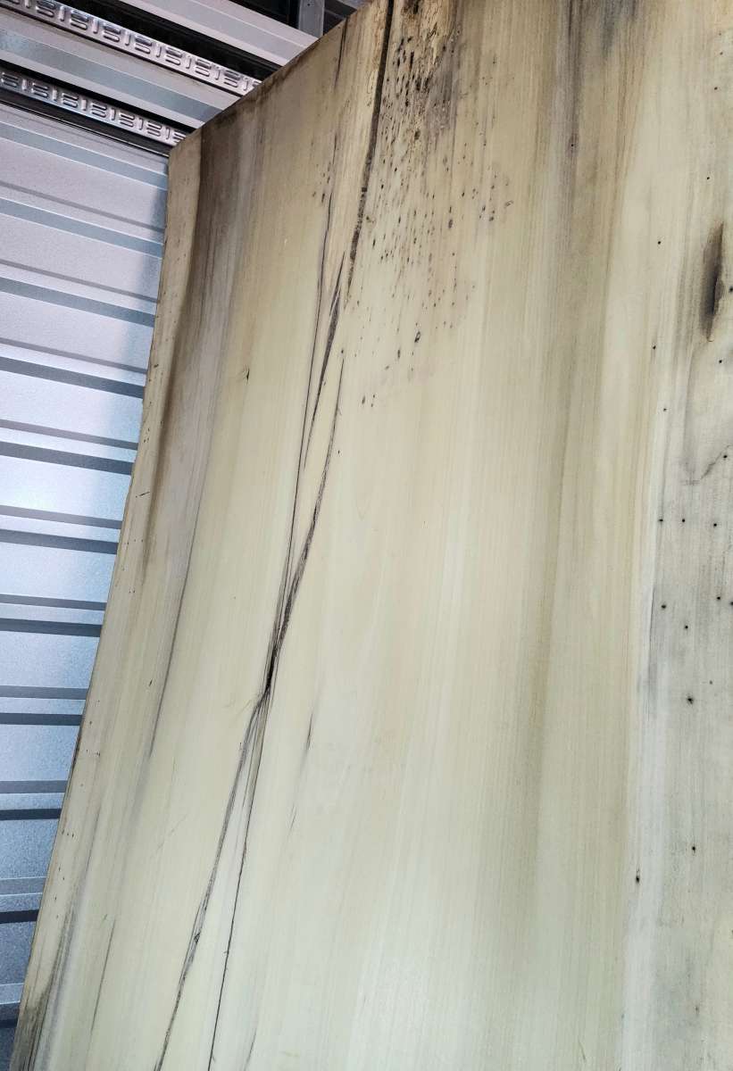 Ohio Red Oak Live Edge Wood Slab 38W x 97L x 2 Thick