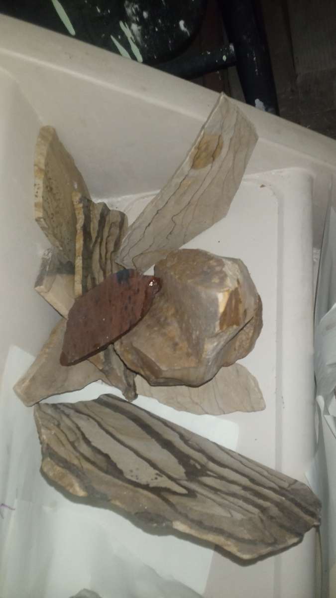 picture jasper beautiful elegant highly recommend