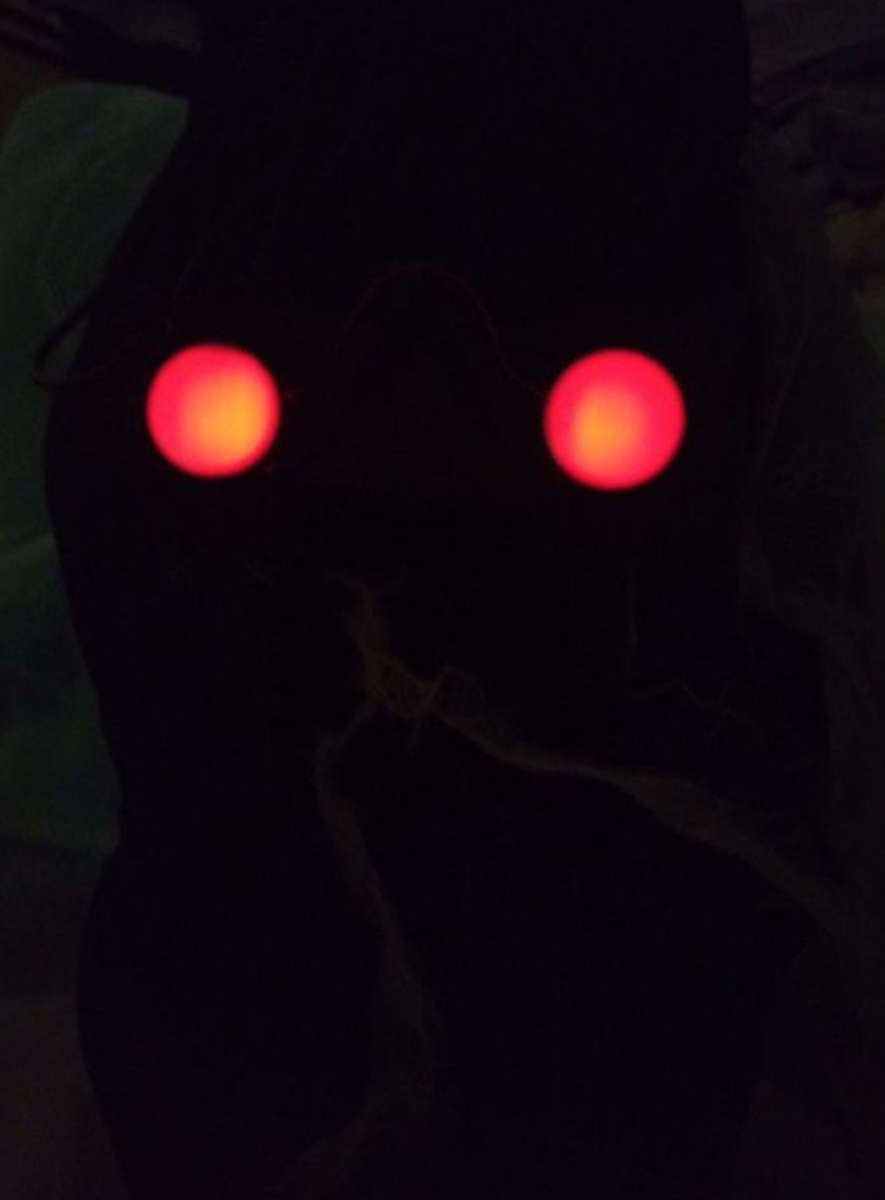 Fading Eyes Zombie Robe