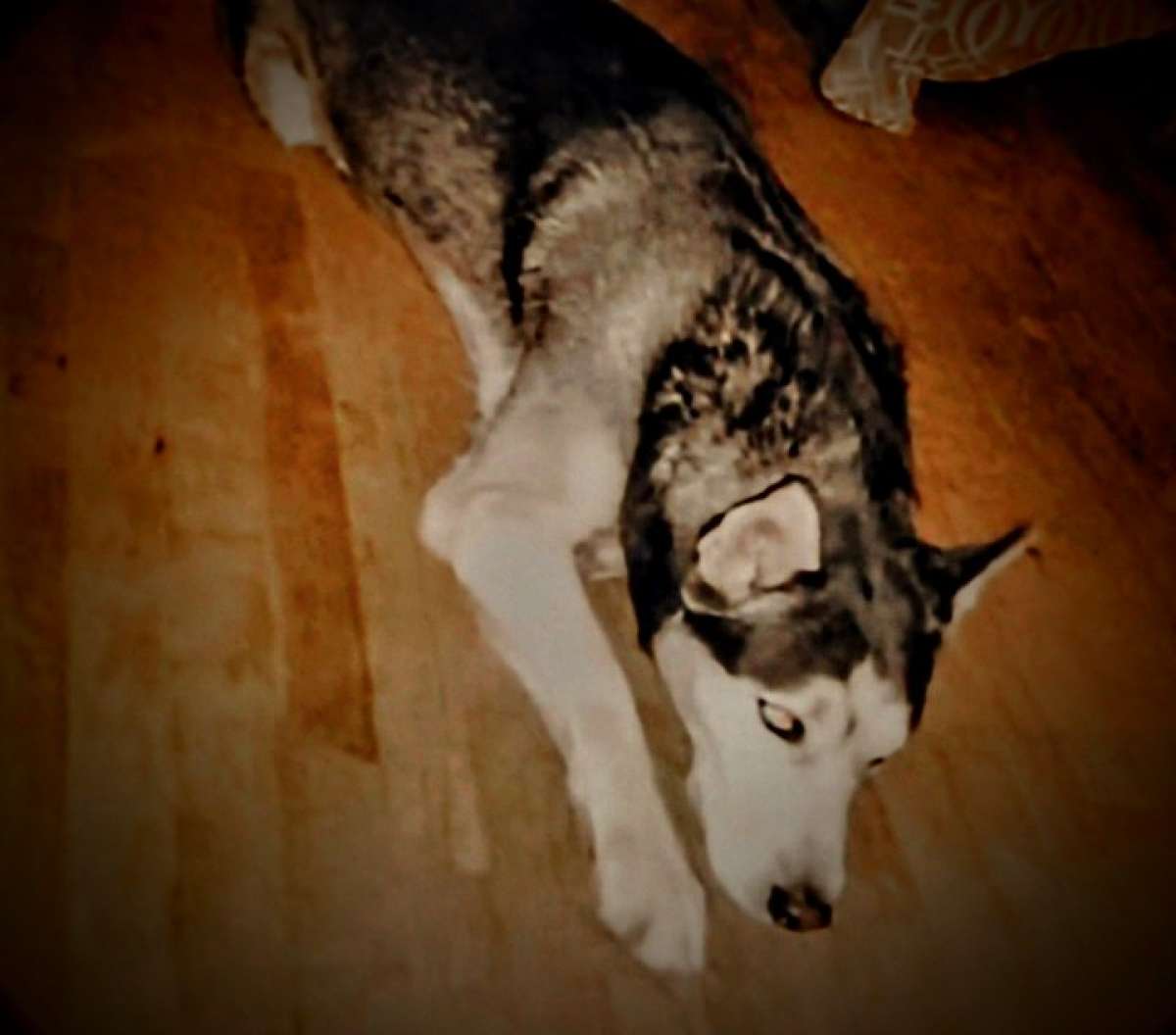 Hi You guys my name is simbad