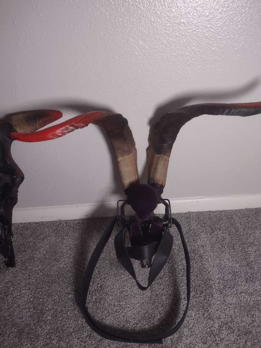 Painted Animal Skull Masks