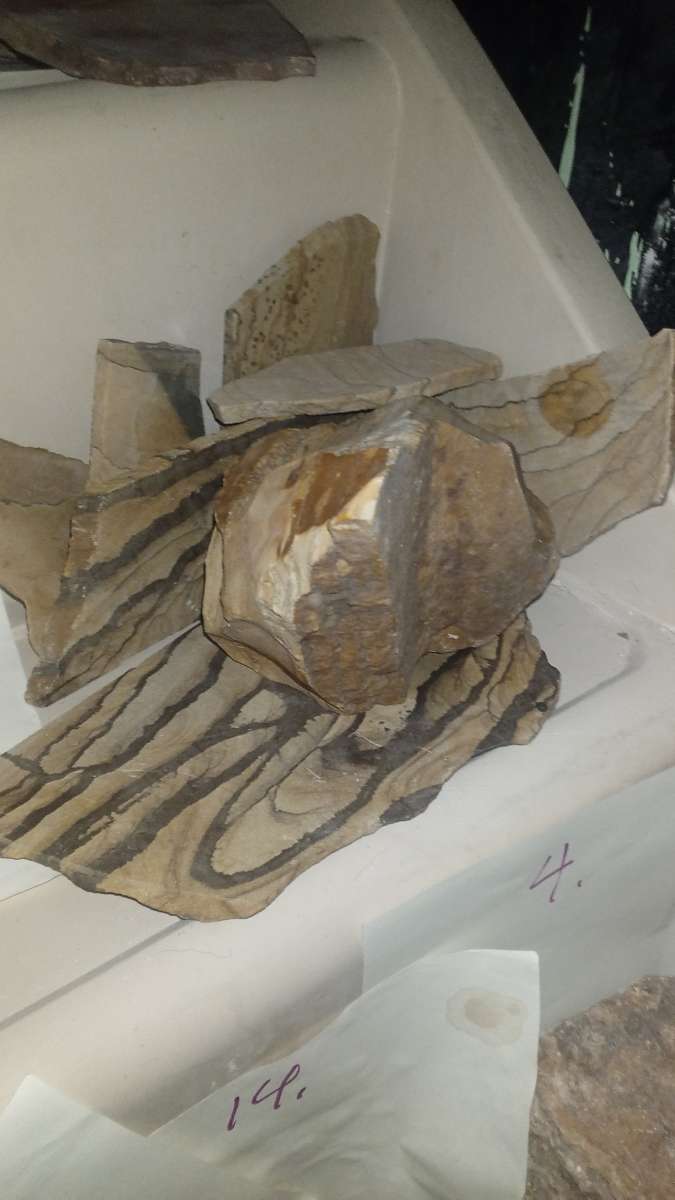 picture jasper beautiful elegant highly recommend