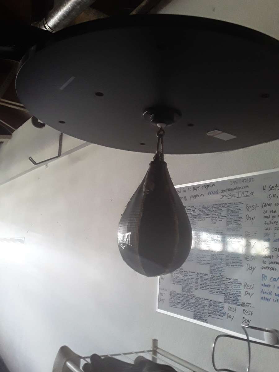 Everlast Punching Bag
