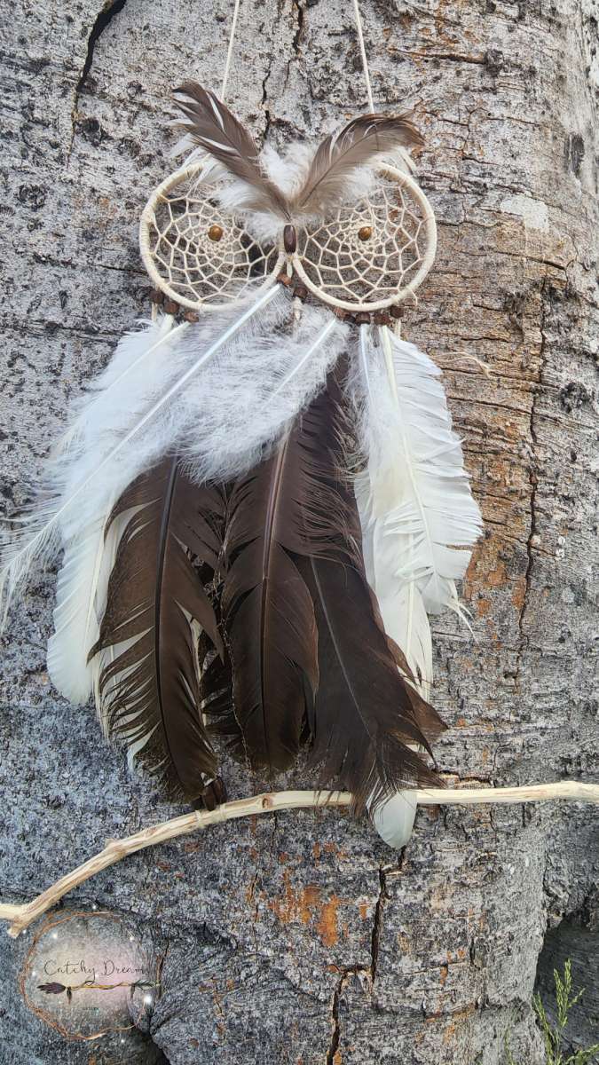 Angry Owl Dream Catcher