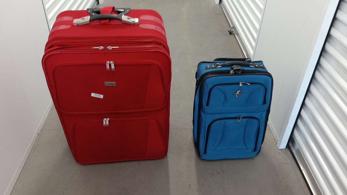 the 2 suit flight bag  big and mini