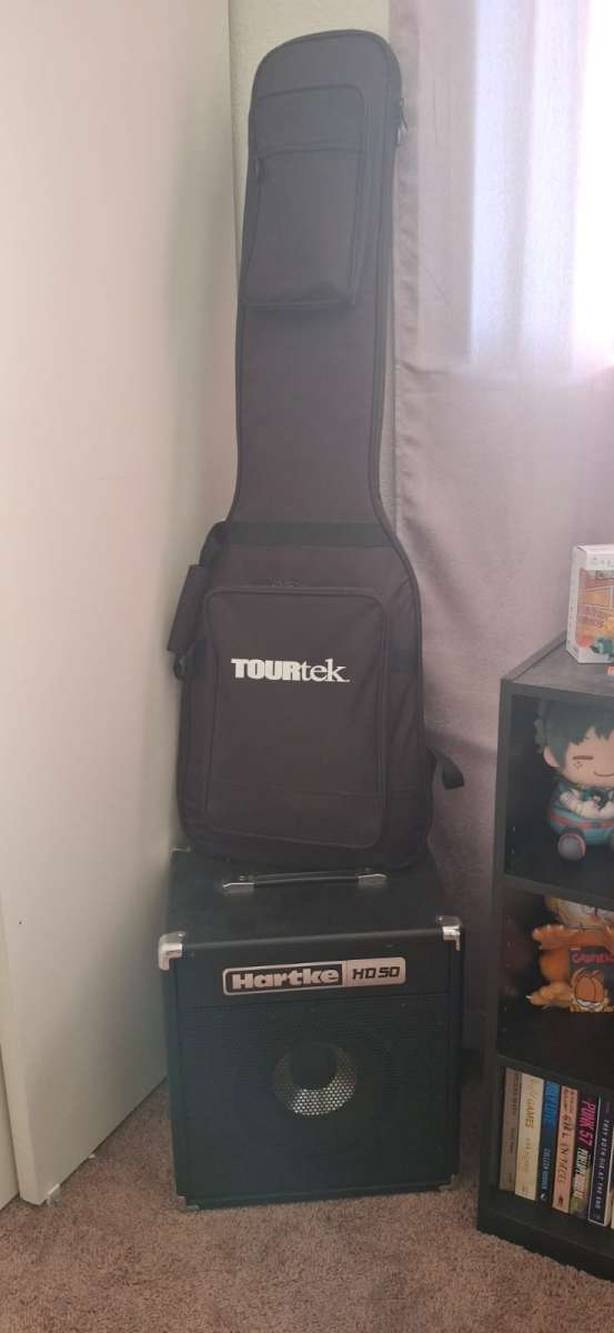 Electric bass guitar