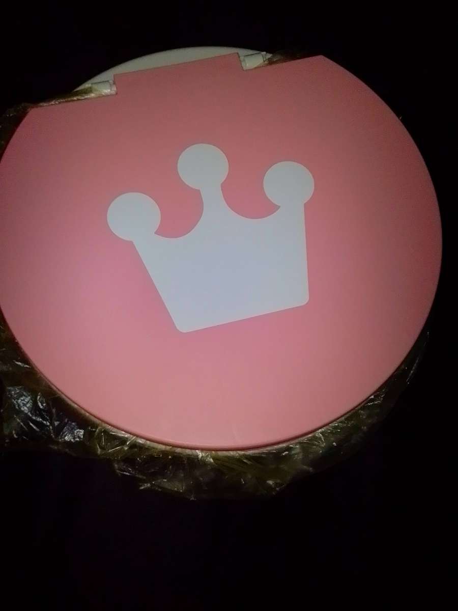 Baby potty training seat