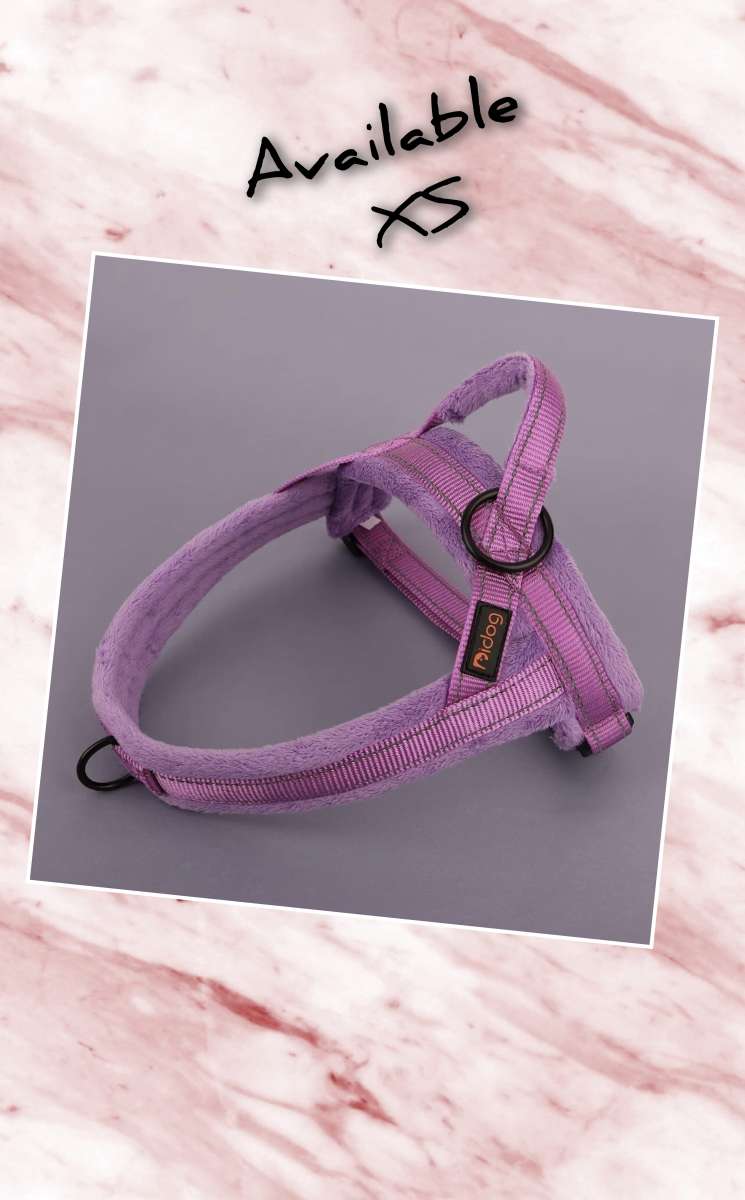 Dog Harness Size XS