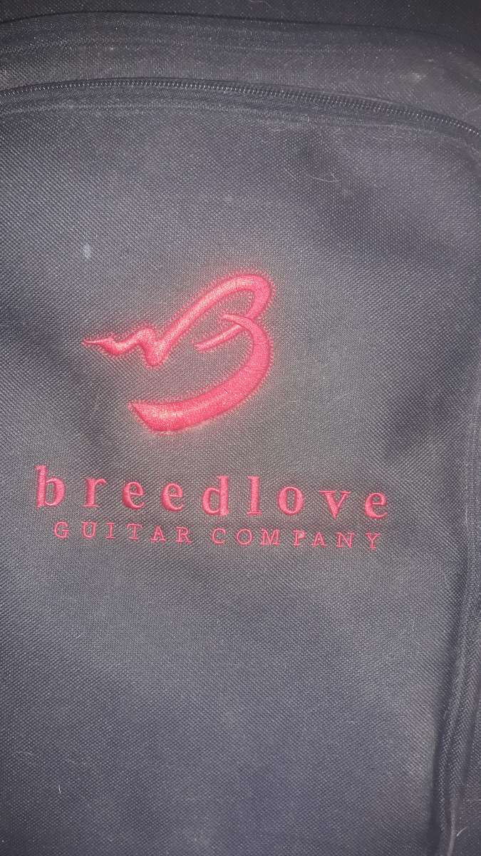 breedlove A25 Acoustic Guitar