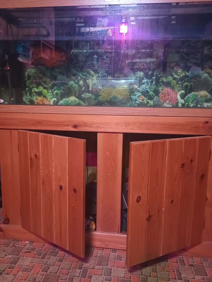 75 gallon fish tank with stand and fish