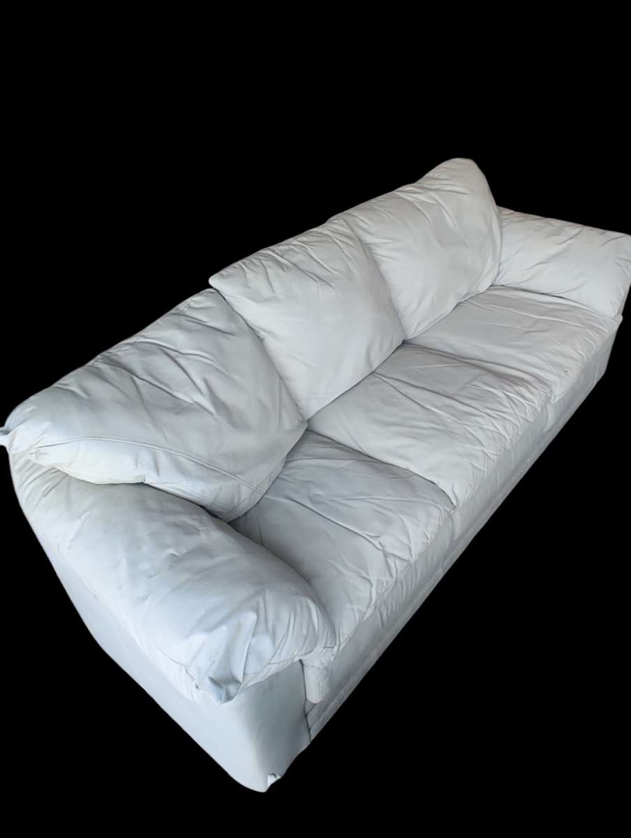 Leather Sofa and Loveseat