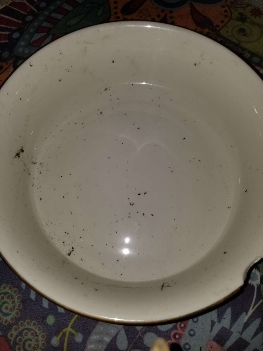 congress stamped serving bowl