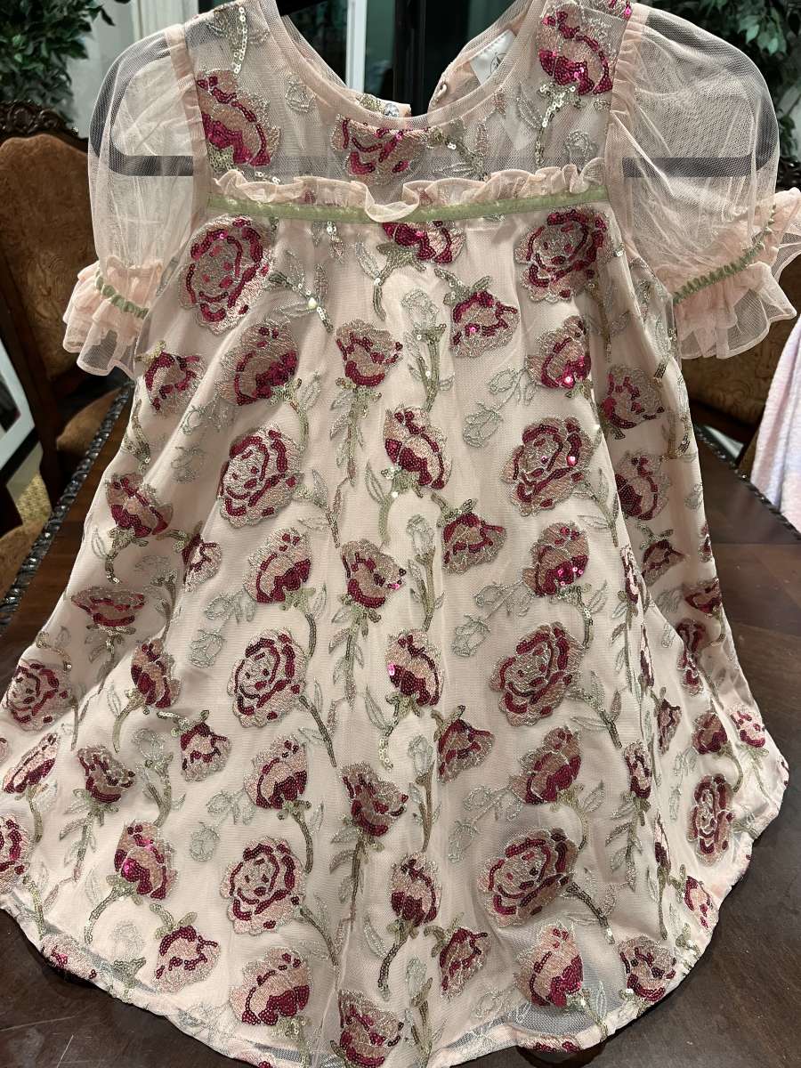 Disney Princess Belle Dress Colection Size 8