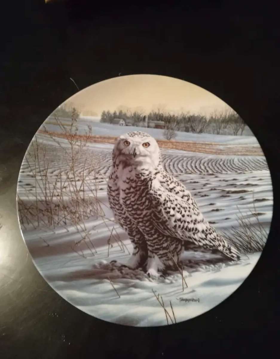 4 Vintage Collectable Plates