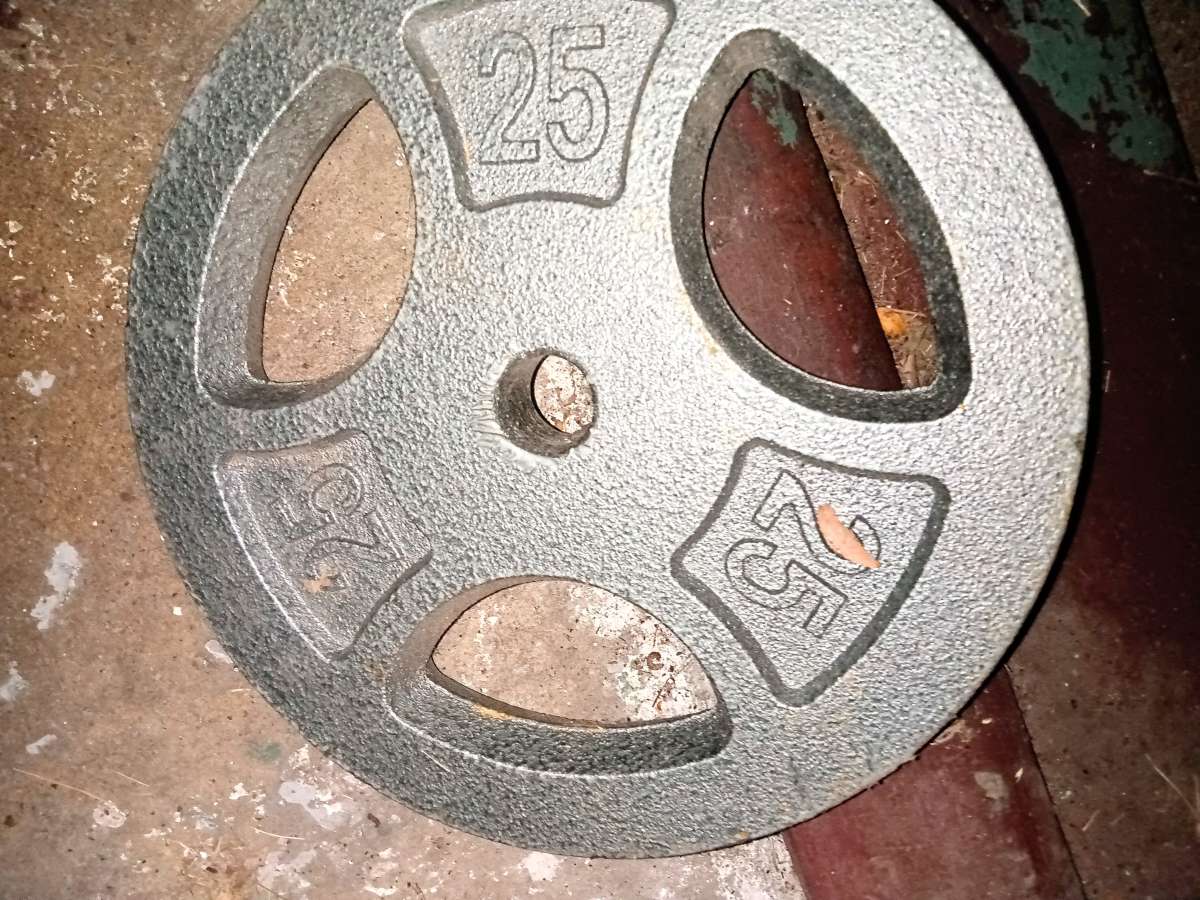 two standard 25 lb weight plates