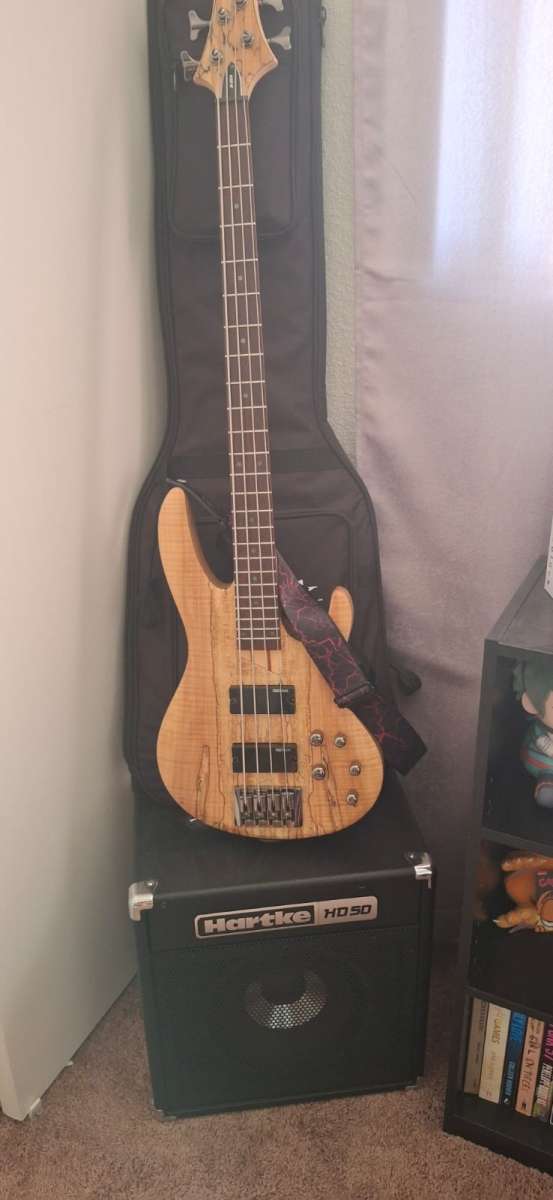 Electric bass guitar