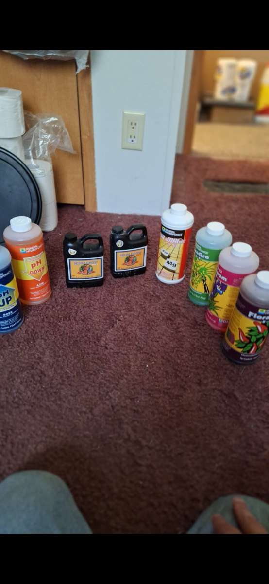 grow text and Supplies and More