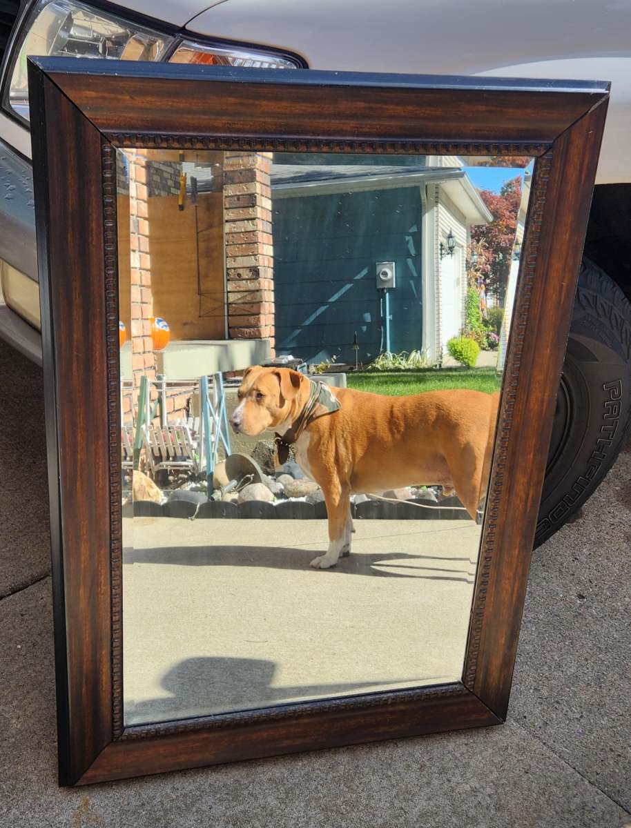 Large framed mirror