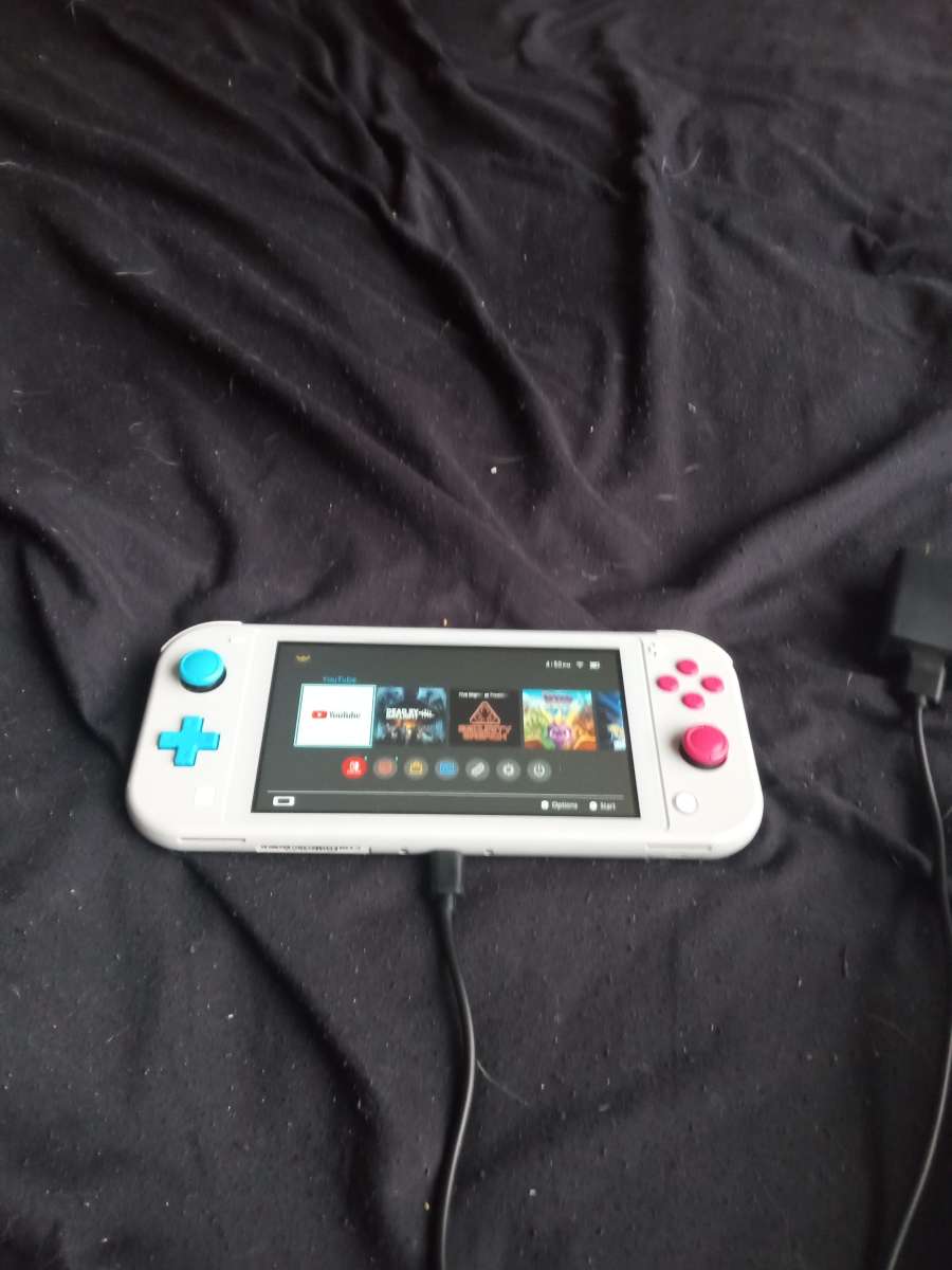 Nintendo switch lite