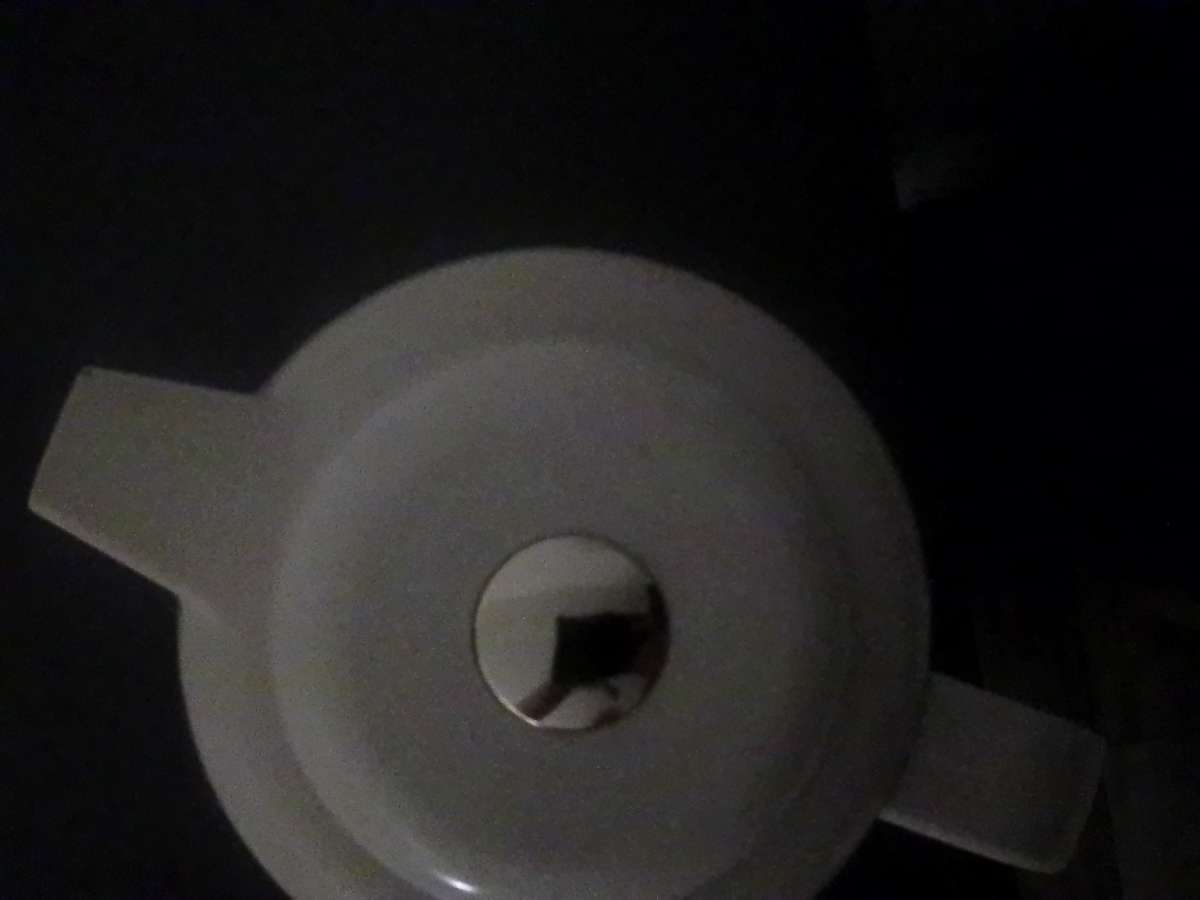 mistletoe Christmas Thermos with bow