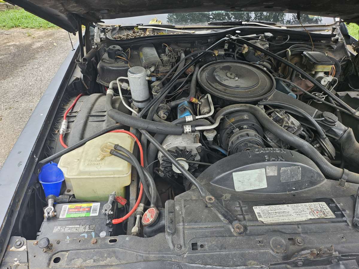 cadillac couple deville