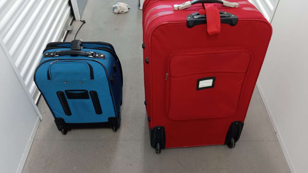 the 2 suit flight bag  big and mini