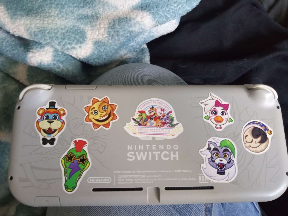 sword and shield Nintendo switch lite