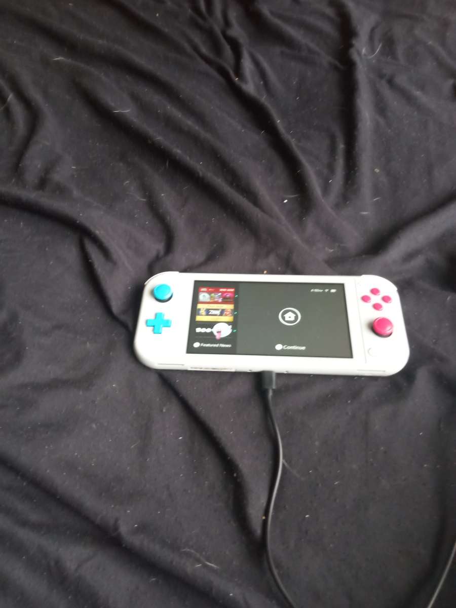 Nintendo switch lite