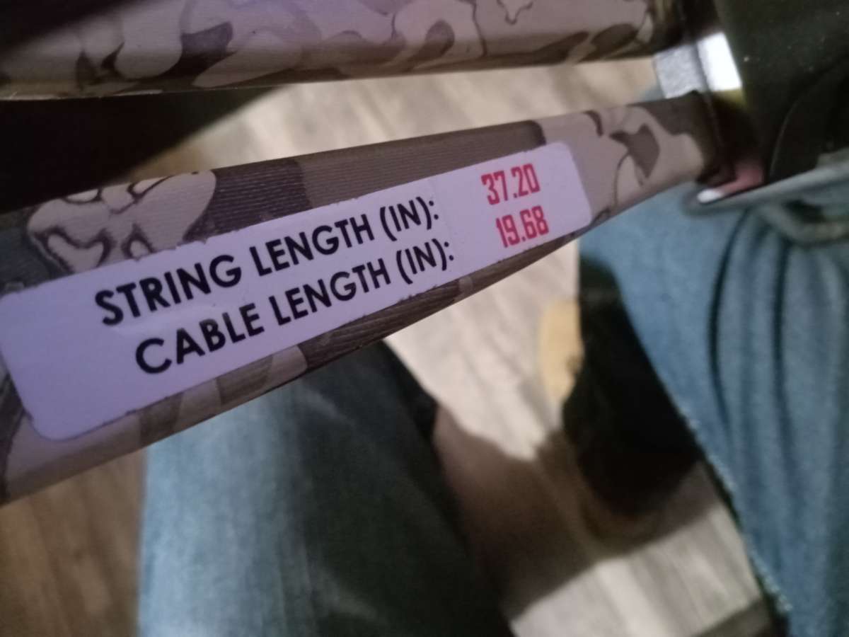 bear banish 420 crossbow