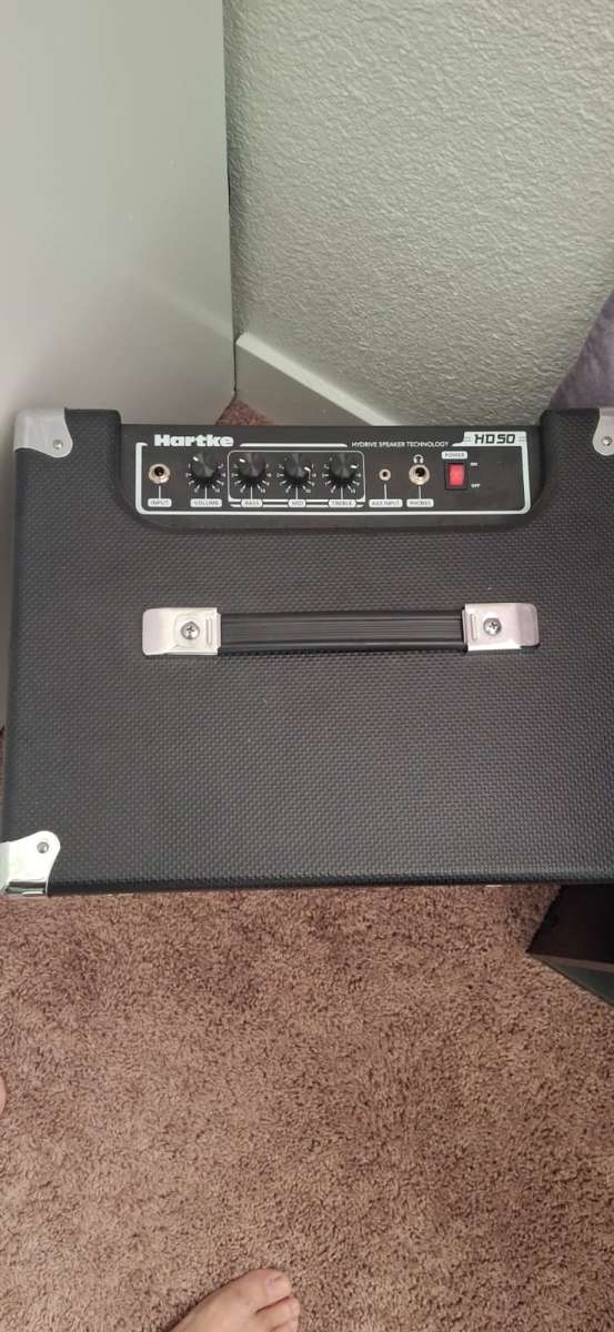 Electric bass guitar