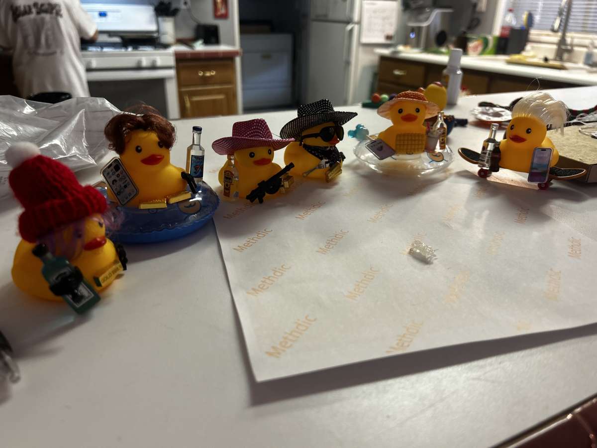 Jeepcrusing ducks