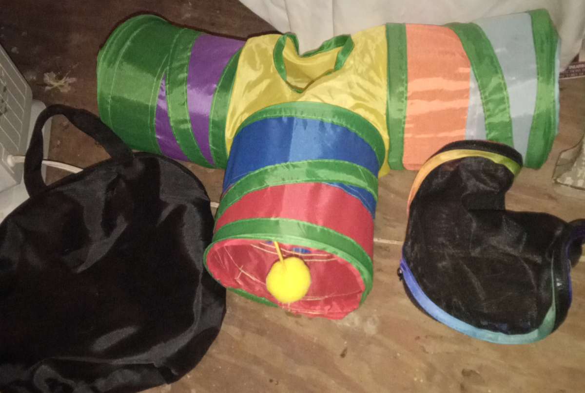 3 way cat tunnel