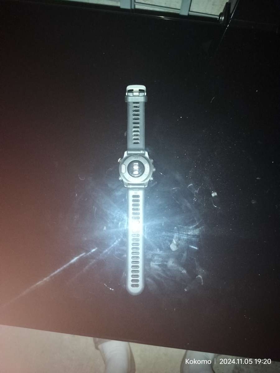 Garmin Forerunner 55