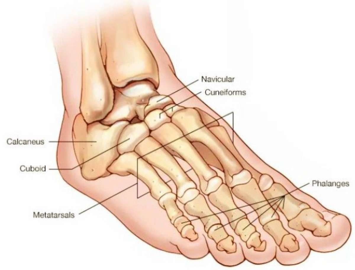 sobador masajista Edgar a domicilio