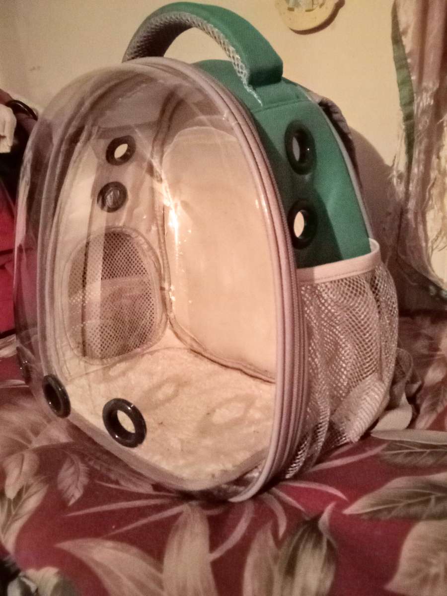 backpack animal carrier