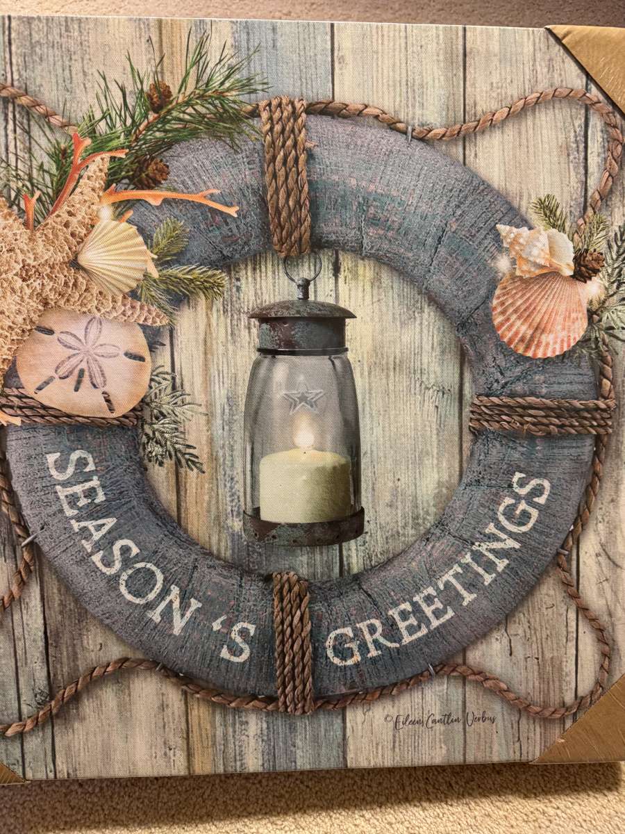 2008HTS BeachCoastal Christmas Lifesaver AA Battery Light Up