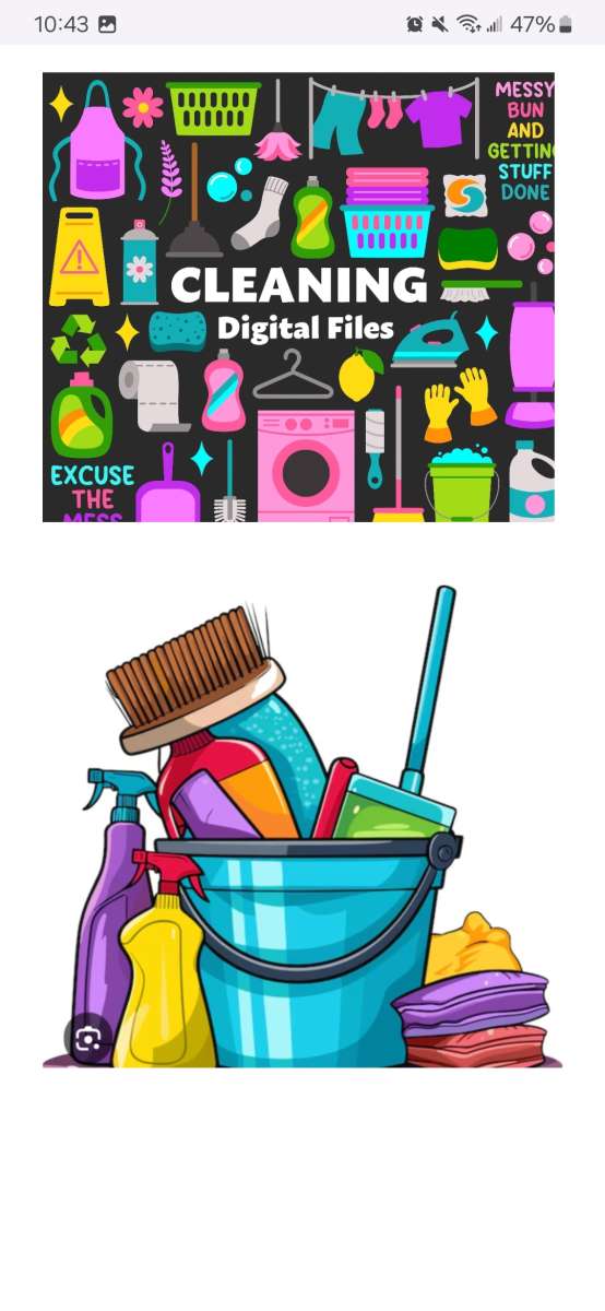 house cleaning  and junk removal