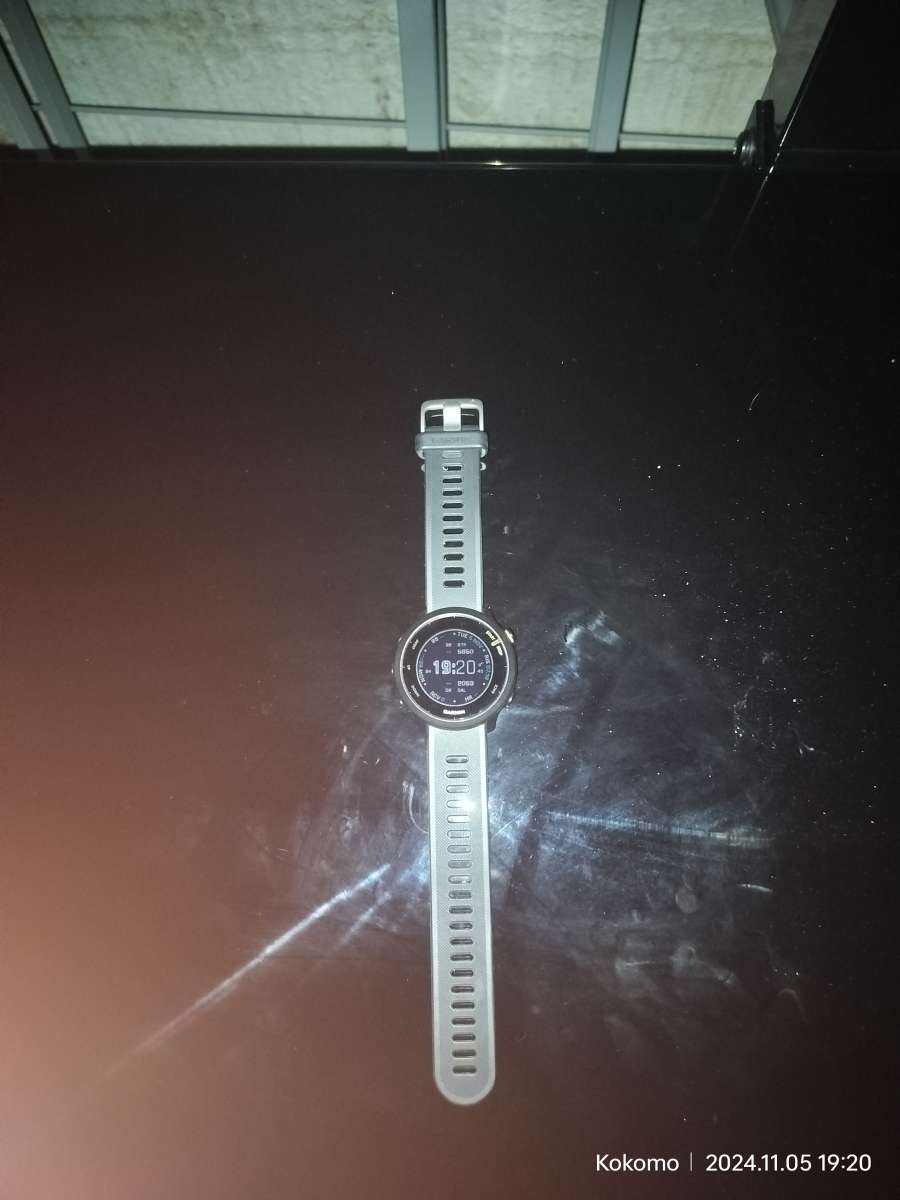 Garmin Forerunner 55