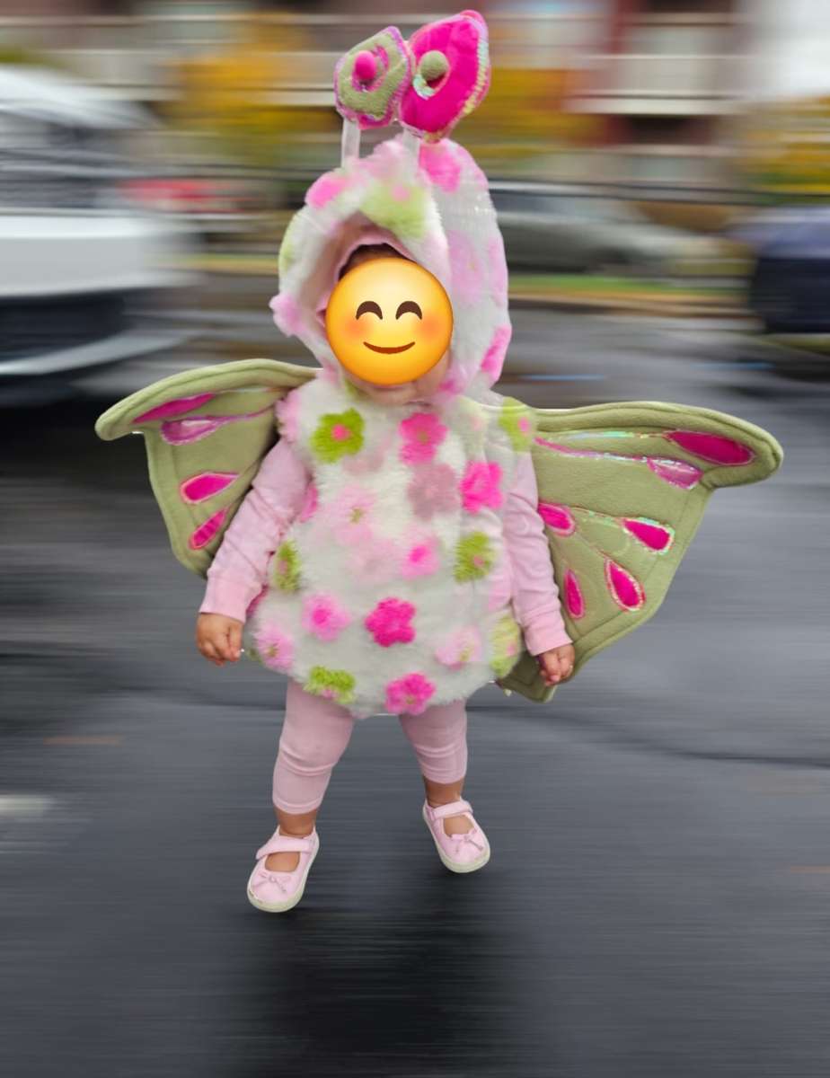 Flower Butterfly Custom size 12 to 18 months