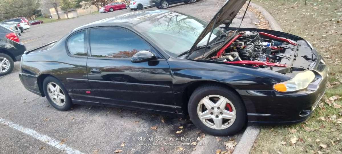 2003 monte carlo