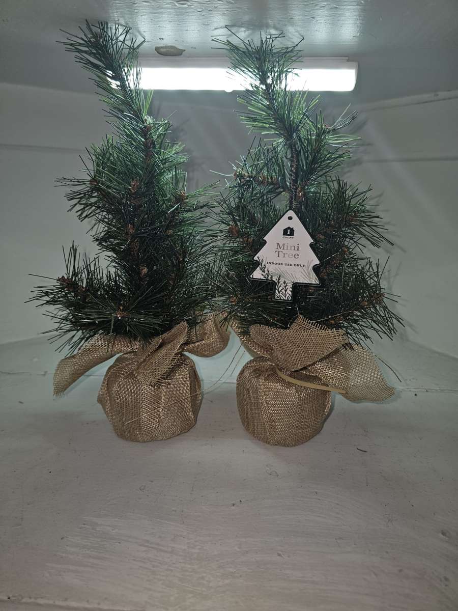 Christmas decoration lot for 25