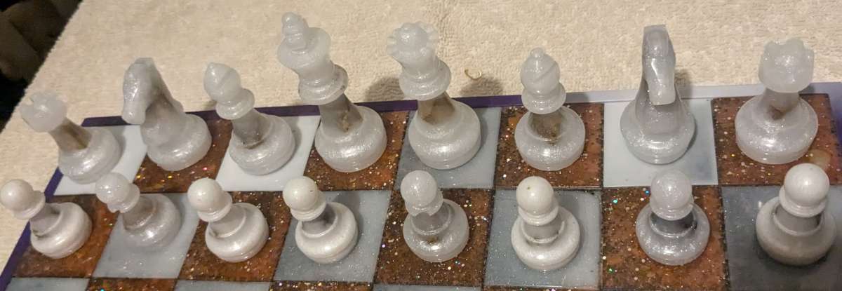 Petrified Wood Chess Set