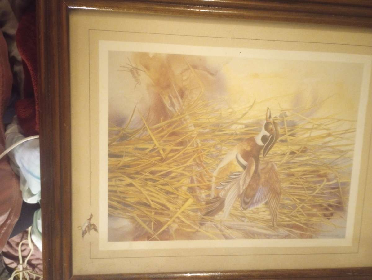 woodland duck 1989 vintage