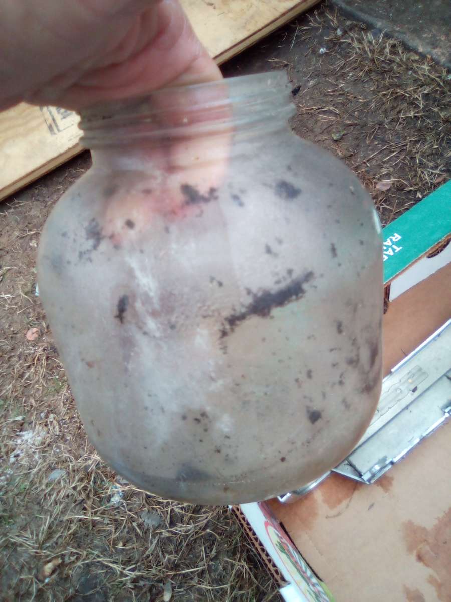 vintage jugs and bottles used but still in great shape