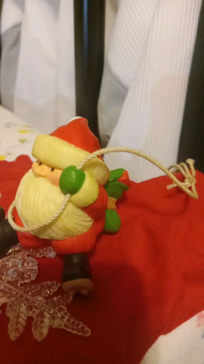 Christmas  ornament variety